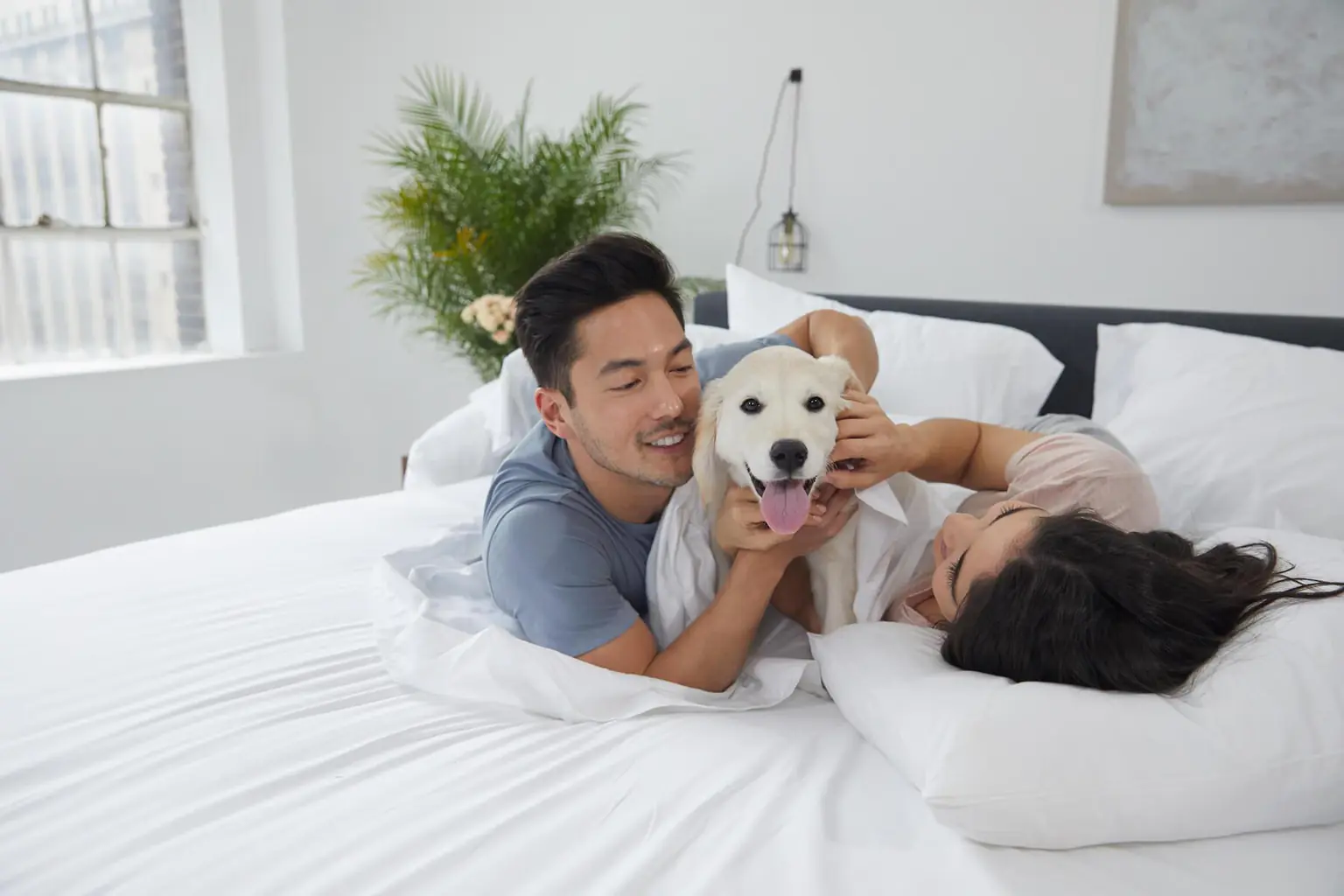 20180222-WELSPUN-SHOT03-0836