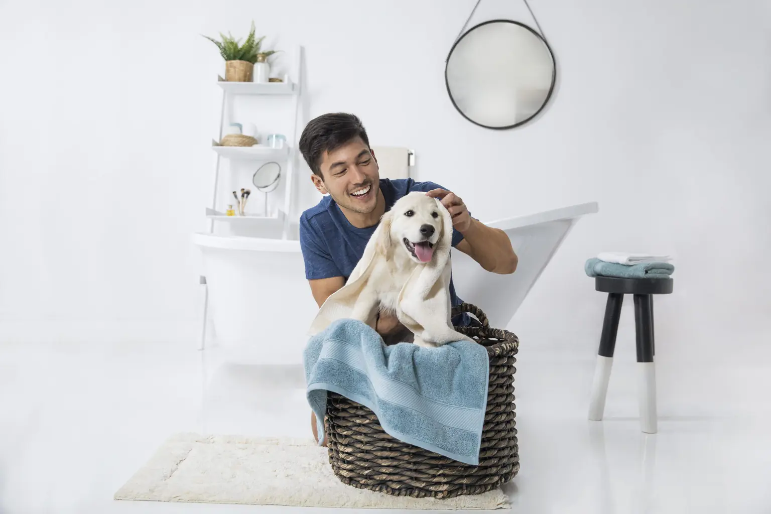 HygroCotton_Towels_DadDog